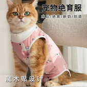猫咪绝育服母猫手术服衣服透气纯棉服断奶服公猫术后防舔宠物用品