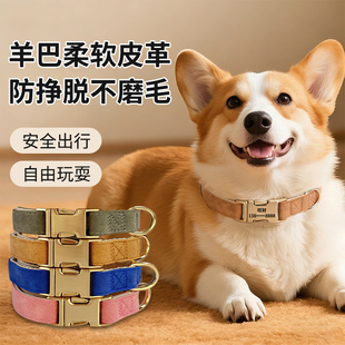 狗狗项圈脖圈脖套不勒脖子狗牌刻字防丢失走丢大中小型犬专用项链