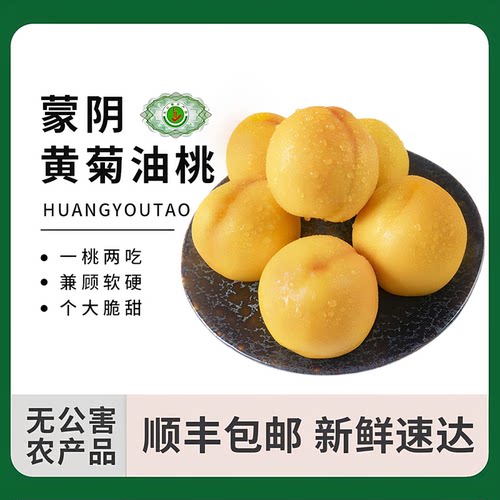 蒙阴头茬黄油桃现采现发顺丰