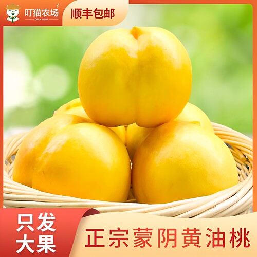 蒙阴头茬黄油桃现采现发顺丰