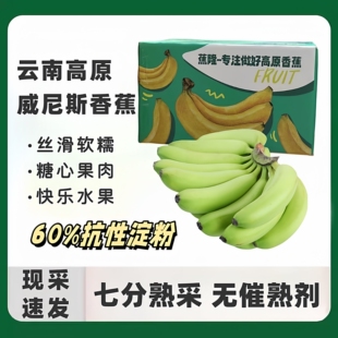 云南威尼斯香焦高原生态水果甜糯心香蕉水果不泡药7分自然熟5斤
