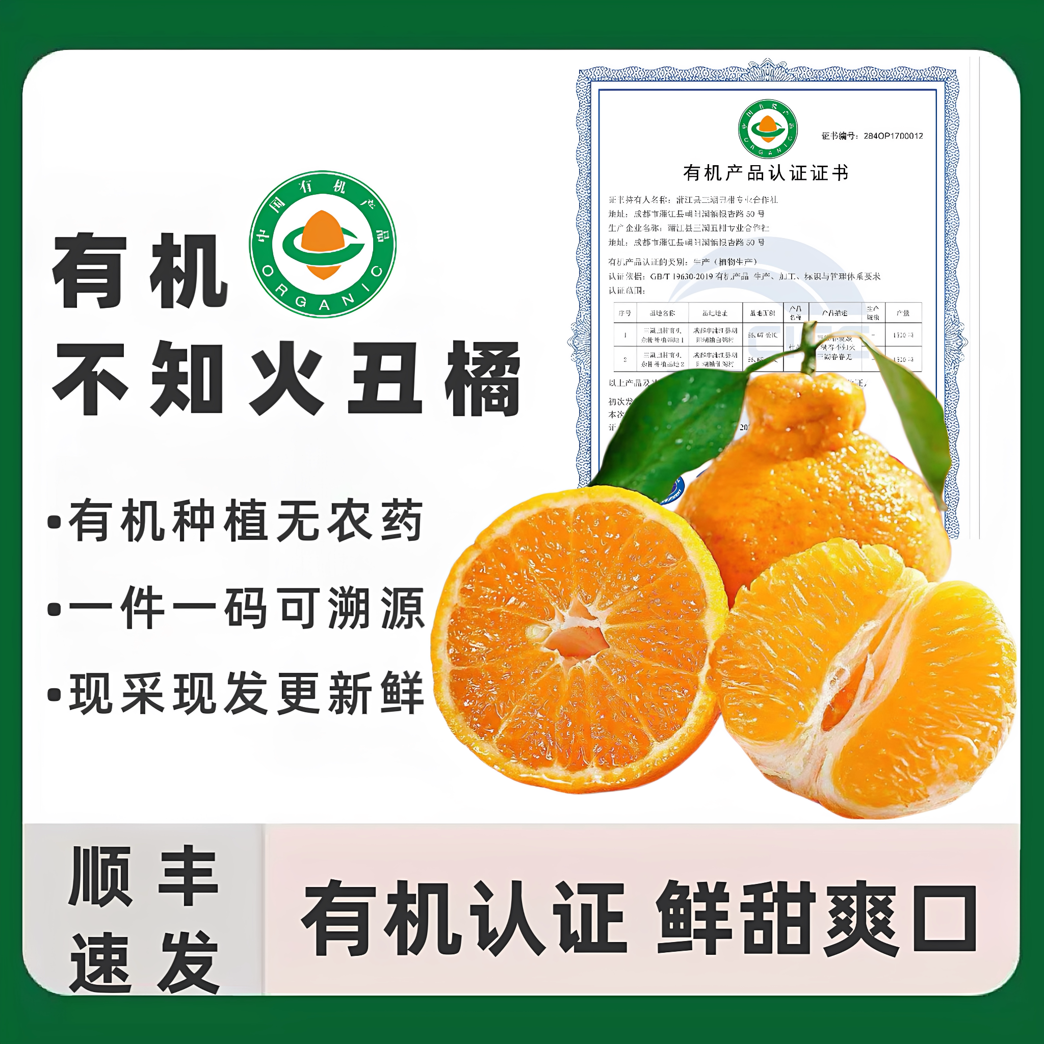 四川有机不知火丑橘丑柑浦江桔子一件一码蜜柑有机认证水果手剥橘