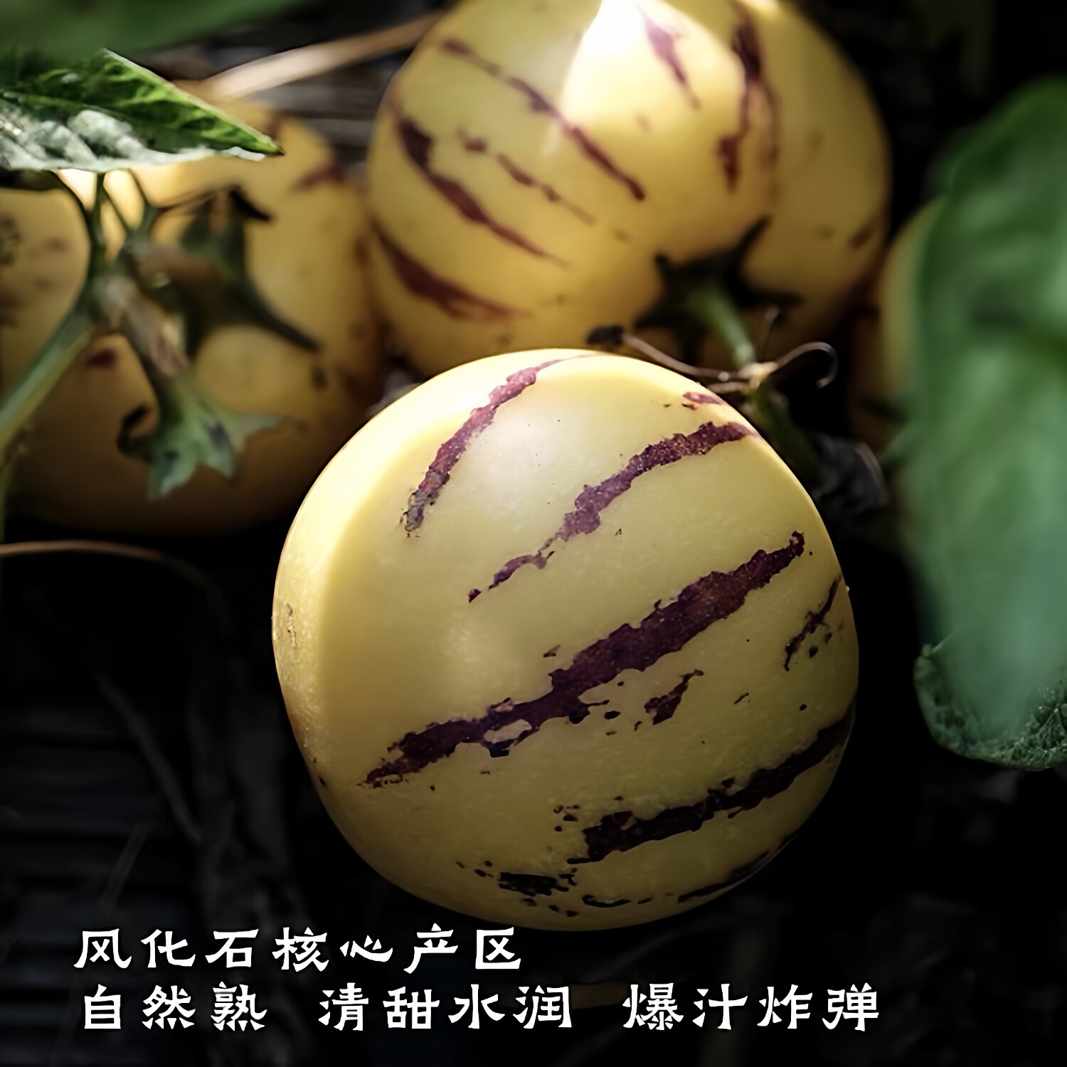 云南石林树熟人参果黄肉
