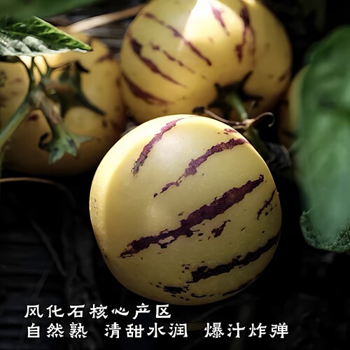 云南石林人参果大果黄肉