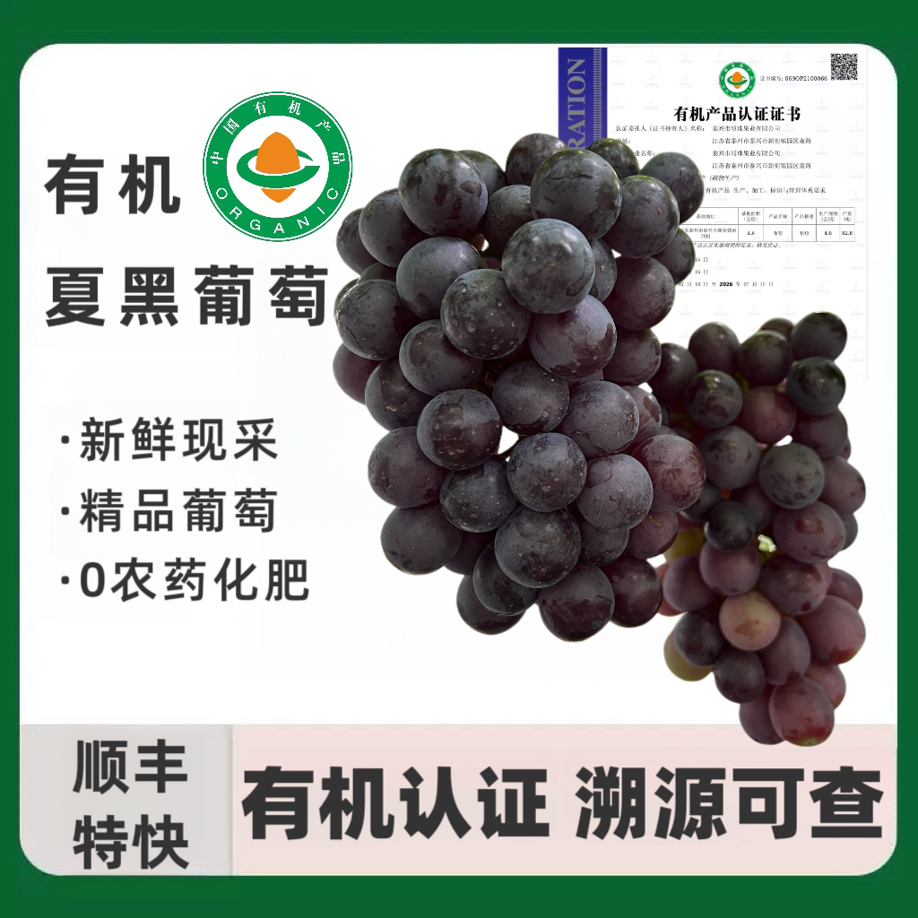 有机认证夏黑葡萄现采顺丰特快