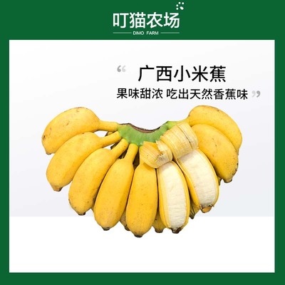 广西苹果香蕉生态水果7分熟9斤