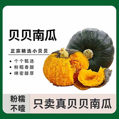 现摘粉糯香甜贝贝南瓜婴孕辅食