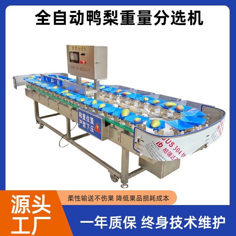智能水果重量分选机桃子橙子猕猴桃全自动分拣设备土豆南瓜分级机
