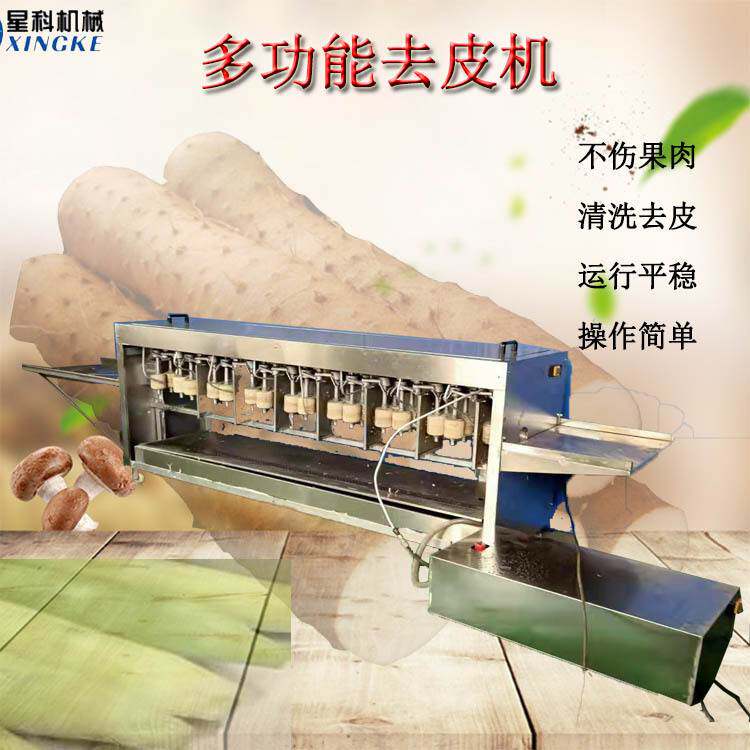 全自动不锈钢牛蒡刀去皮机厂家 山药清洗一体削皮机 星科机械