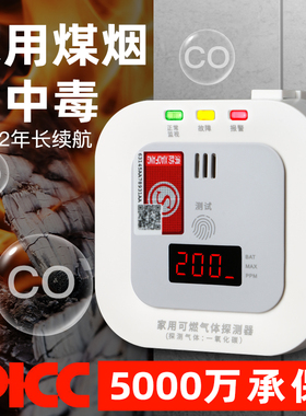 一氧化碳报警器家用室内消防煤烟co泄露浓度检测仪有毒气体探测器