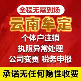 云南全省昆明曲靖楚雄牟定公司注册执照牟定注销变更注销异常解除