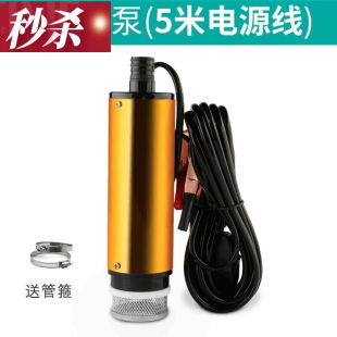 天颛抽油泵12v抽水泵24v柴油电动抽油机小型车载自吸油泵抽水泵加