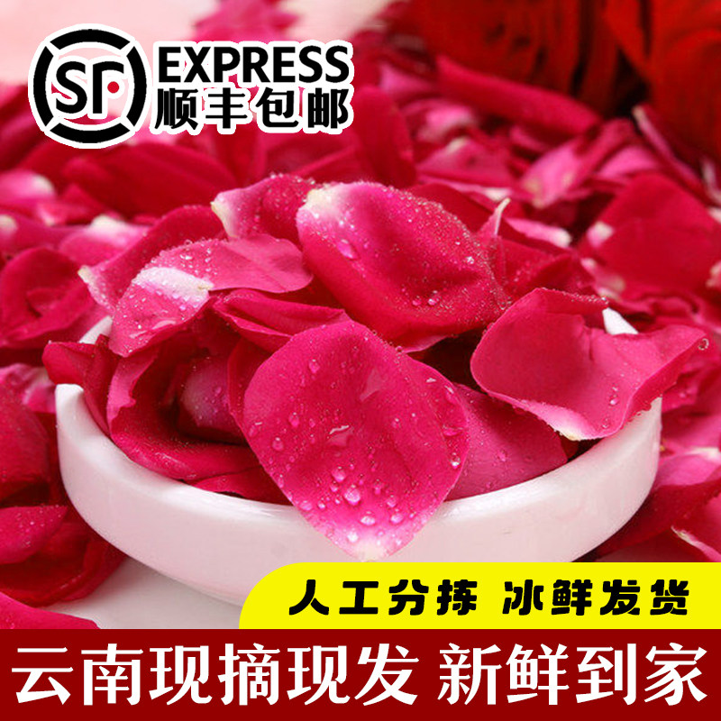 云南可食用重瓣墨红玫瑰花瓣鲜花苞新鲜采摘泡玫瑰醋泡酒现摘现发
