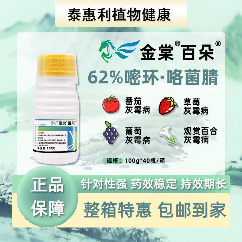 先正达密环咯菌腈葡萄灰霉病图片