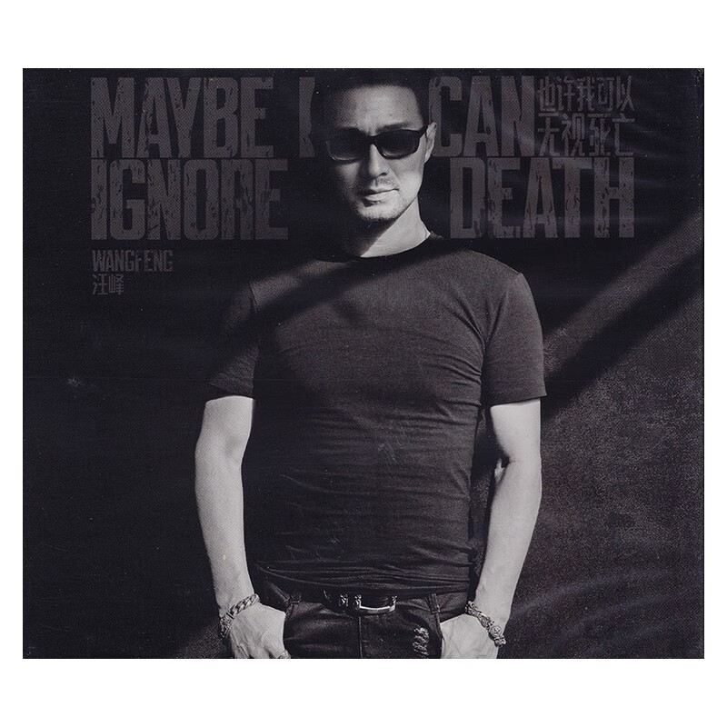 全新正版汪峰 第十四张实体专辑《也许我可以无视死亡》CD+歌词本