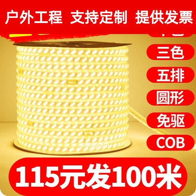 led灯带户外防水灯条220v超亮家用客厅吊顶工程亮化三色室外暖。
