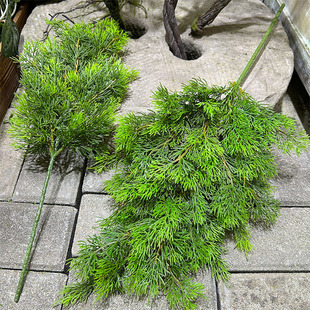 精品松柏叶仿真龙柏圣诞装饰树叶扁柏美人松崖柏造景树叶厂家