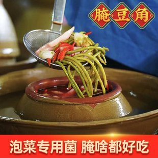 辣白菜酸菜四川泡菜BC1 活动中 泡菜发酵菌泡菜菌家用自制韩式