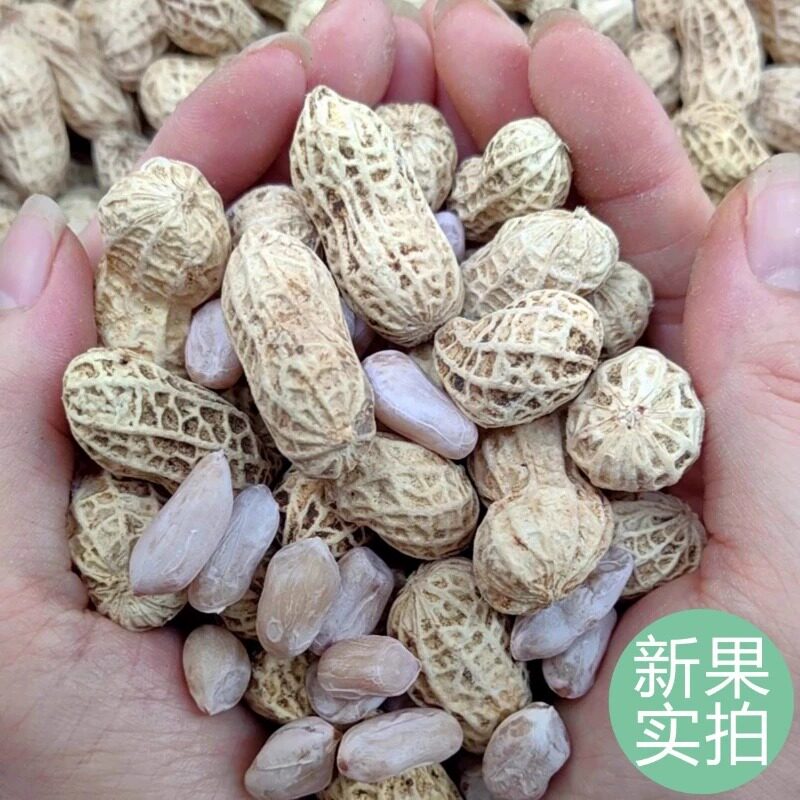 新货龙岩特产水煮白晒咸干花生