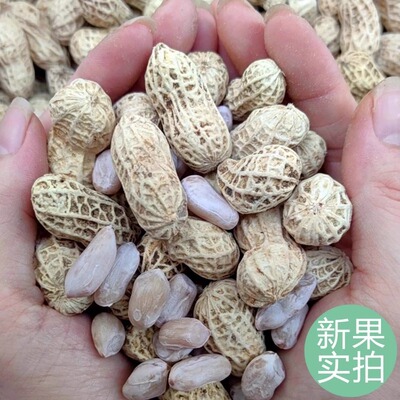 新货龙岩特产水煮白晒咸干花生