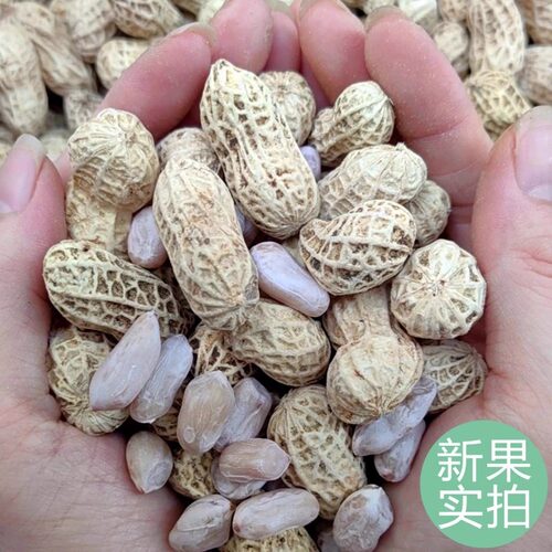 新货龙岩特产水煮白晒咸干花生