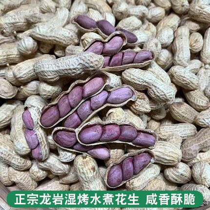 龙岩花生湿烤花生正宗闽西特产水煮花生紫衣花生三四粒红衣皮花生