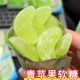 苹果软糖宛如果甘冻干片橘脆皮夹心水果糖果零食休闲食品果汁酸甜