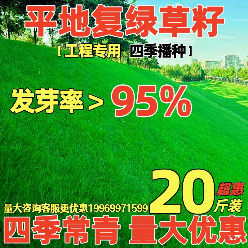 草坪草籽四季常青护坡固土狗牙根地毯草种子庭院绿化黑麦草种籽孑