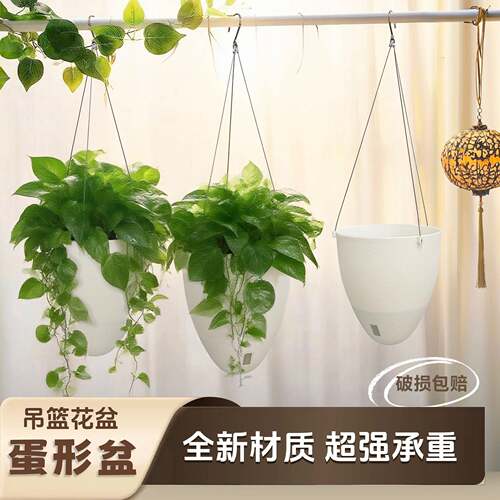 亚马逊热销欧式磨砂自吸水懒人
