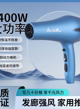 AK-102风大师发廊专用专业吹风机轻便吹风筒静音大力风大功率高速