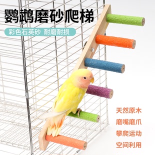 鹦鹉小鸟互动云梯木梯爬梯玩具虎皮牡丹磨爪嘴秋千攀爬绳配件用品