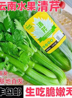云南高原水果清芹生吃新鲜水果芹菜西芹当季蔬菜现采现发绿色青菜