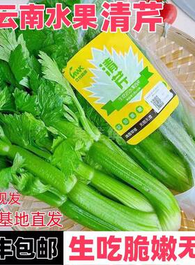 云南高原水果清芹生吃新鲜水果芹菜西芹当季蔬菜现采现发绿色青菜
