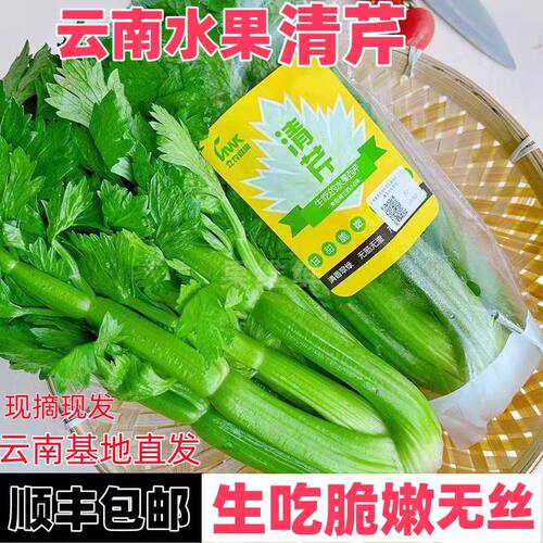云南高原水果清芹生吃新鲜水果芹菜西芹当季蔬菜现采现发绿色青菜