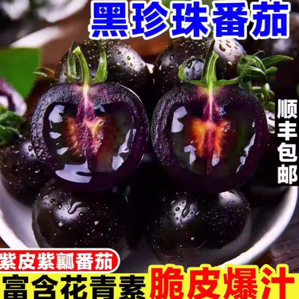 顺丰山东黑番茄黑珍珠小番茄即食现摘黑玫瑰圣女果花青素应季水果