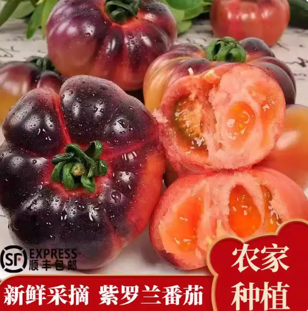 紫罗兰番茄新鲜好吃丑番茄