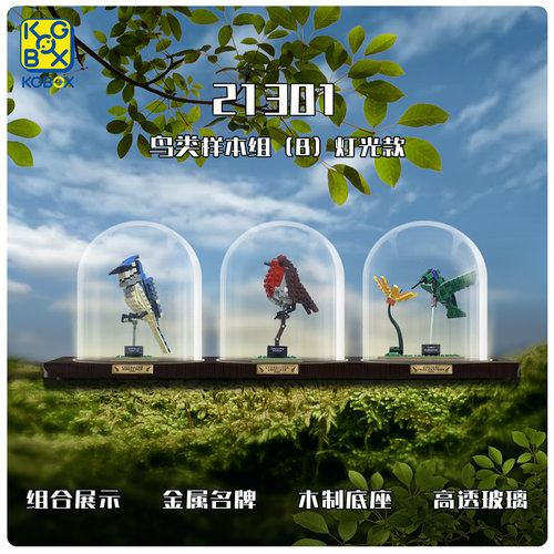 KGBOX创意系列ideas鸟语花香鸟