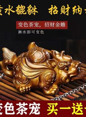 变色茶宠牛转乾坤招财貔貅金蟾蜍荔枝小摆件可养招财茶台个性茶玩