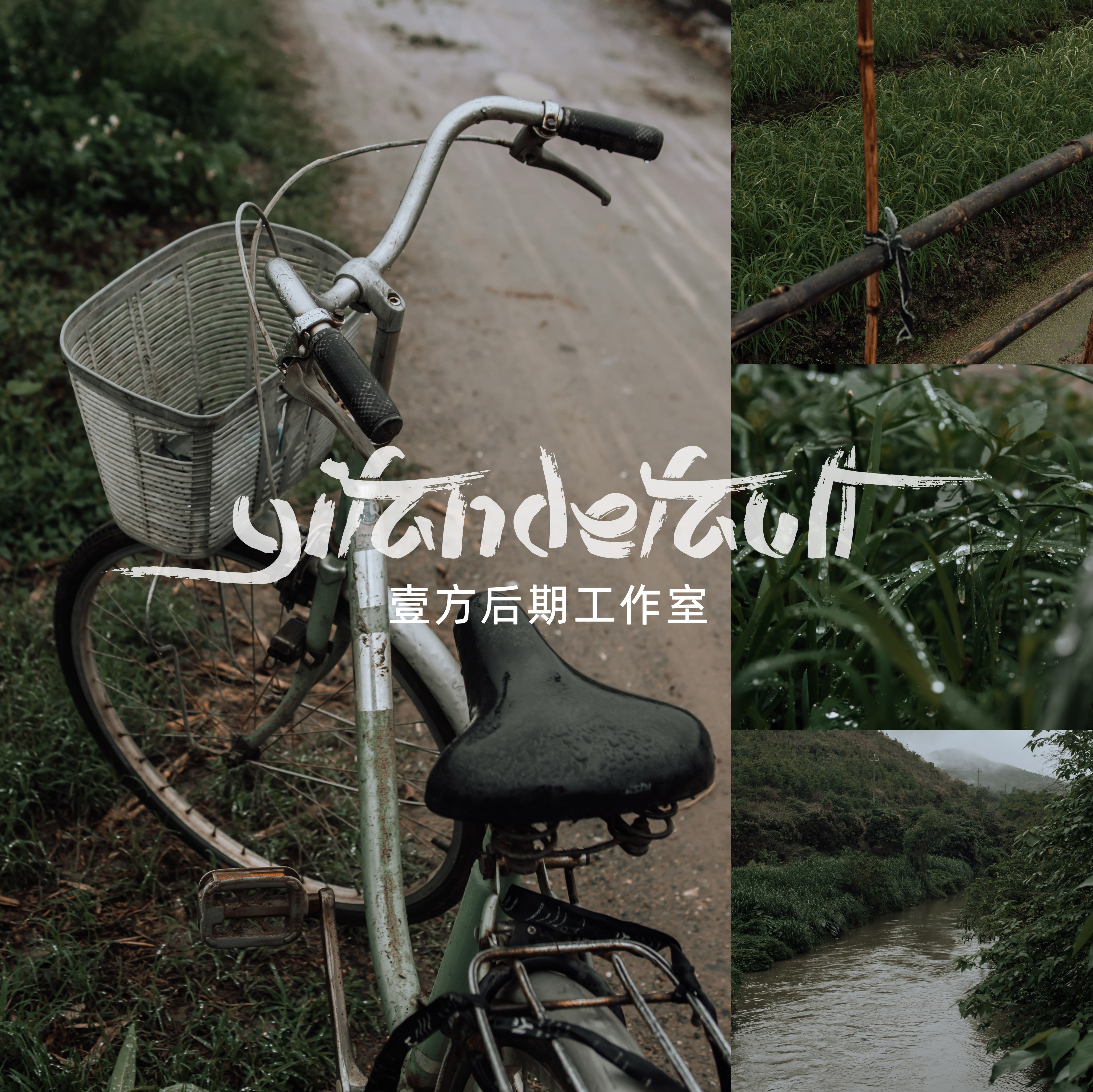 LR预设暗调墨绿植物预设5款