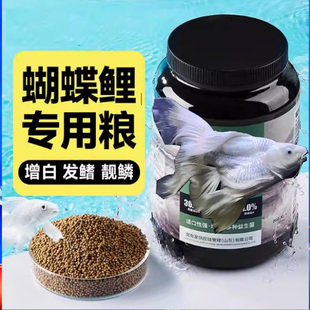 台湾蝴蝶鲤增白增体观赏鱼专用饲料渔场直供