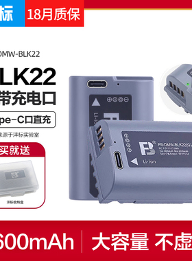 沣标DMW-BLK22电池松下DC-S5 S5K S5M2 GH6 GH5M2 S52X G9M2微单S5二代mark2充电器Lumix相机W/C/K配件非原装