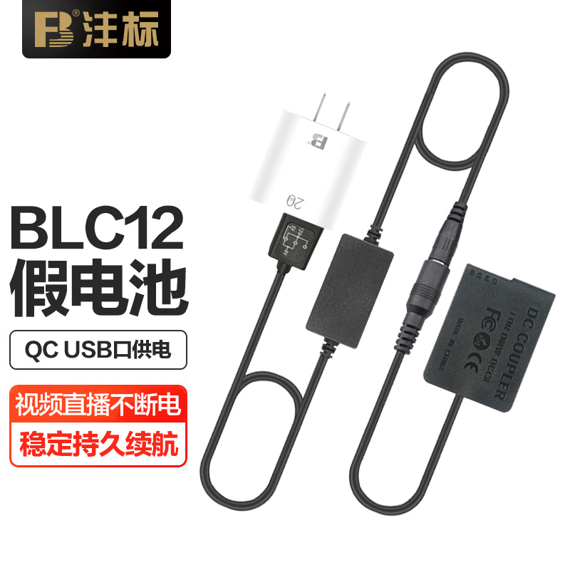 DMW-BLC12模拟电池+电源适配器套装