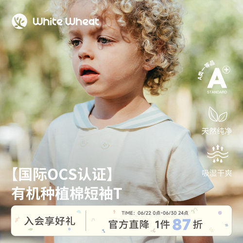 whitewheat条纹披肩刺绣短袖