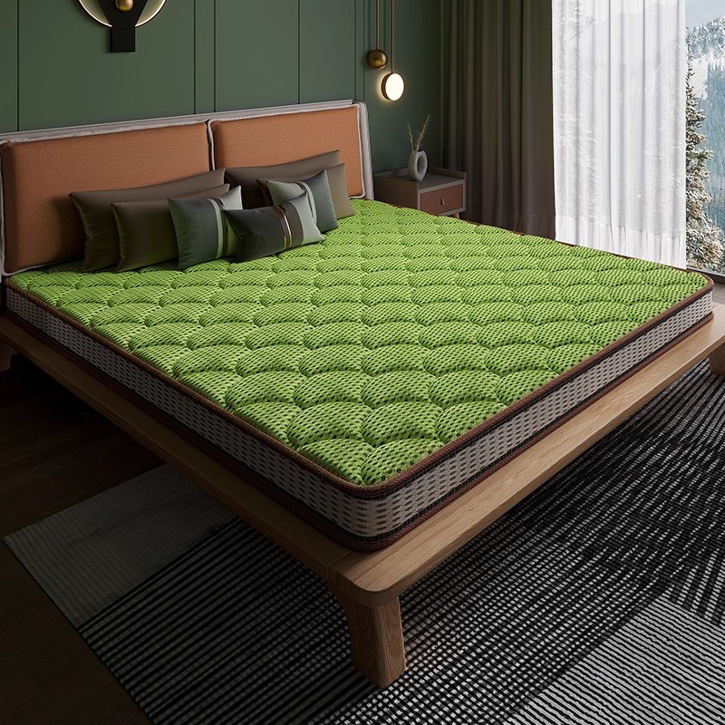 3E椰棕床垫加厚家用卧室席梦思