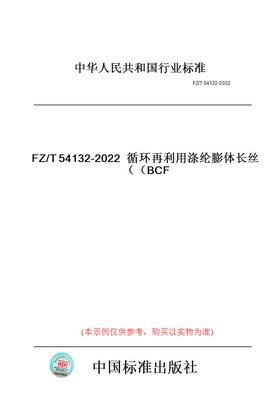 【纸版图书】FZ/T54132-2022循环再利用涤纶膨体长丝（BCF）