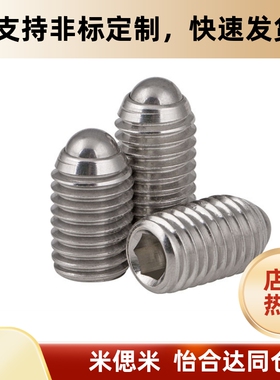 BSML3/4/5/6/8/10/12 BMSL系列不锈钢加长型轻载型球头柱塞