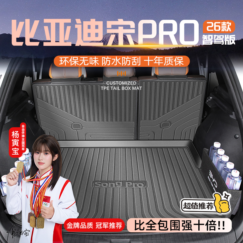 【防水耐磨】宋ProDMi专用尾箱垫