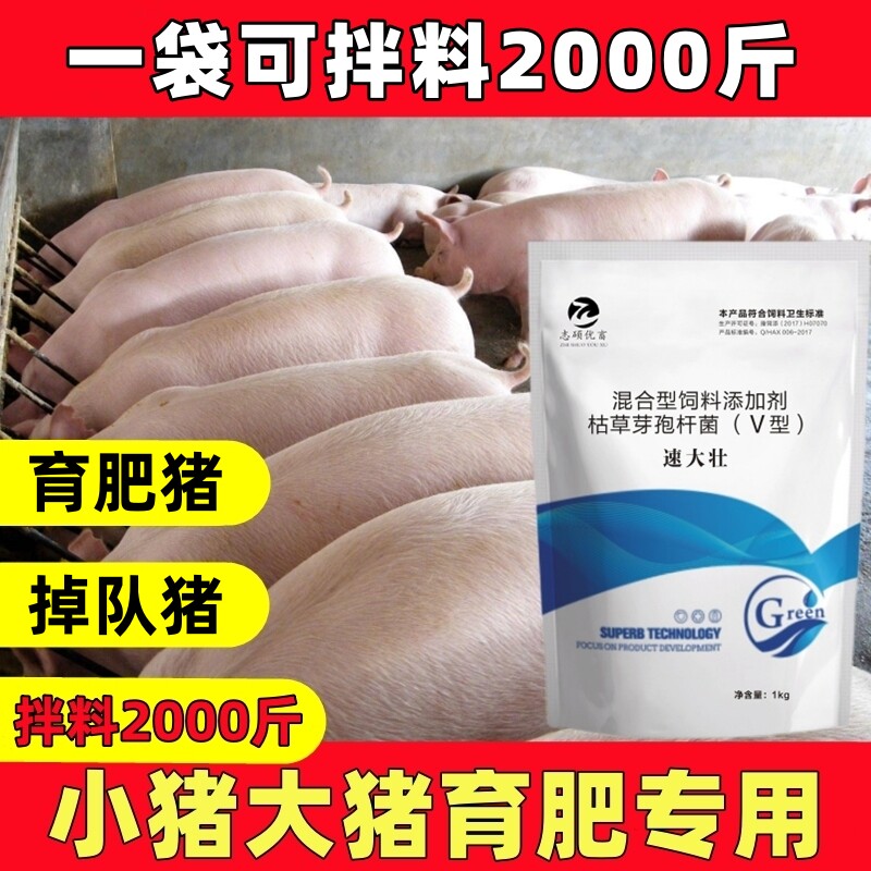 速大壮猪用出栏增重育肥添加剂