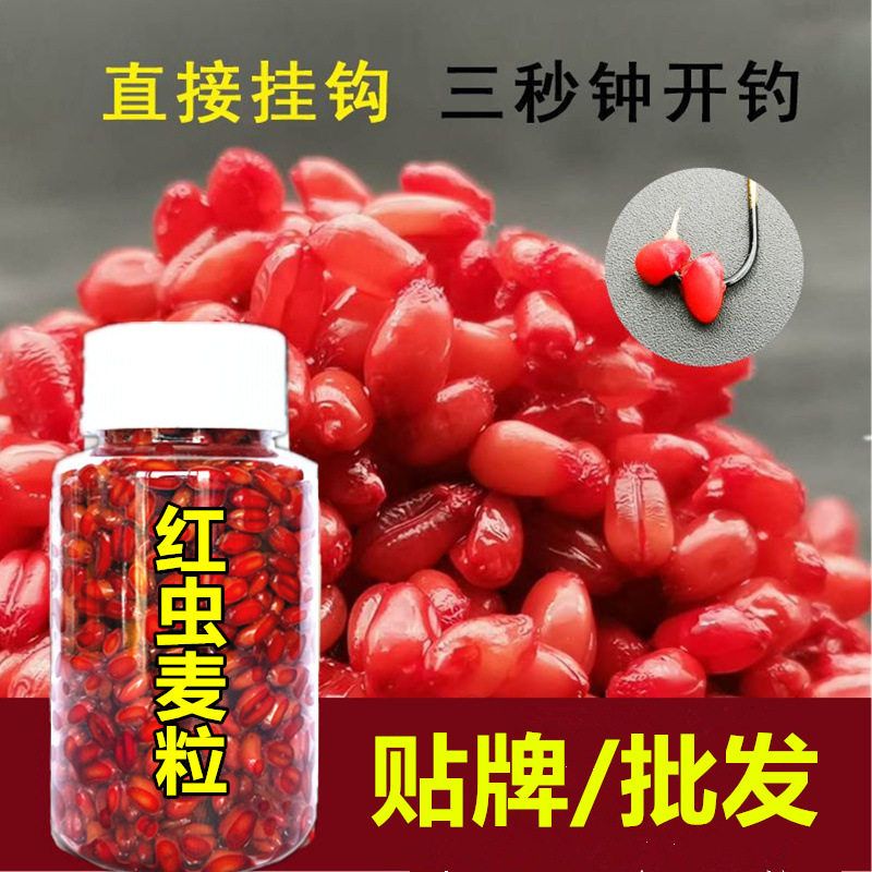 麦挂钩颗粒诱鱼血麦粒子鲫鱼钓鱼麝香玉米饵料红虫大物食草鱼鲤鱼