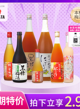 【临期促销】NAKATA中田日本进口瓶装梅子酒微醺本格梅酒果汁梅酒
